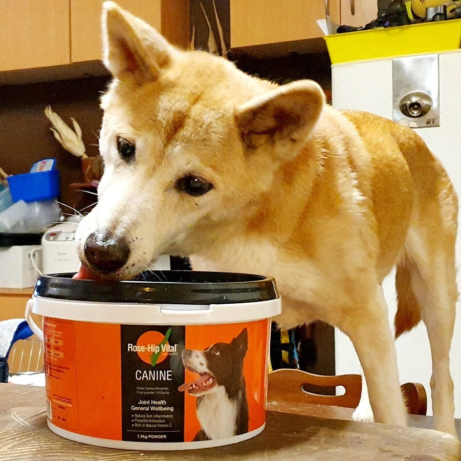 Rose-Hip Vital Canine 1.5kg (3.3lb)