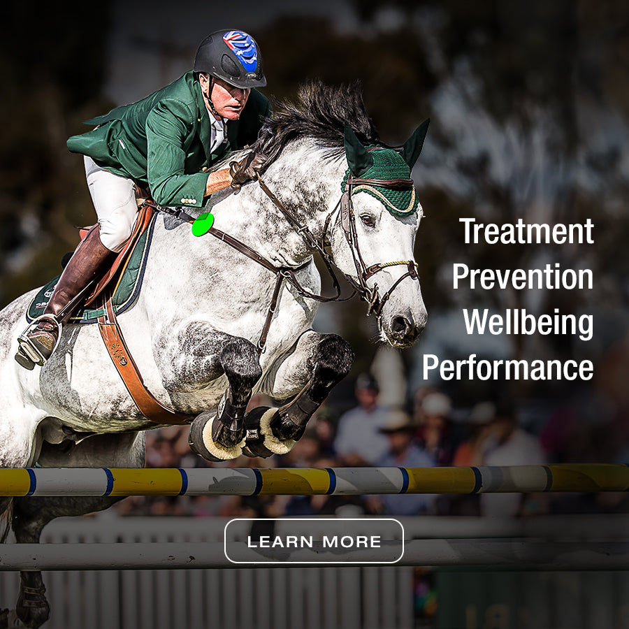 Rose-Hip Vital Equine for your horse | Treatment, Prevention, Wellbeing & Performance