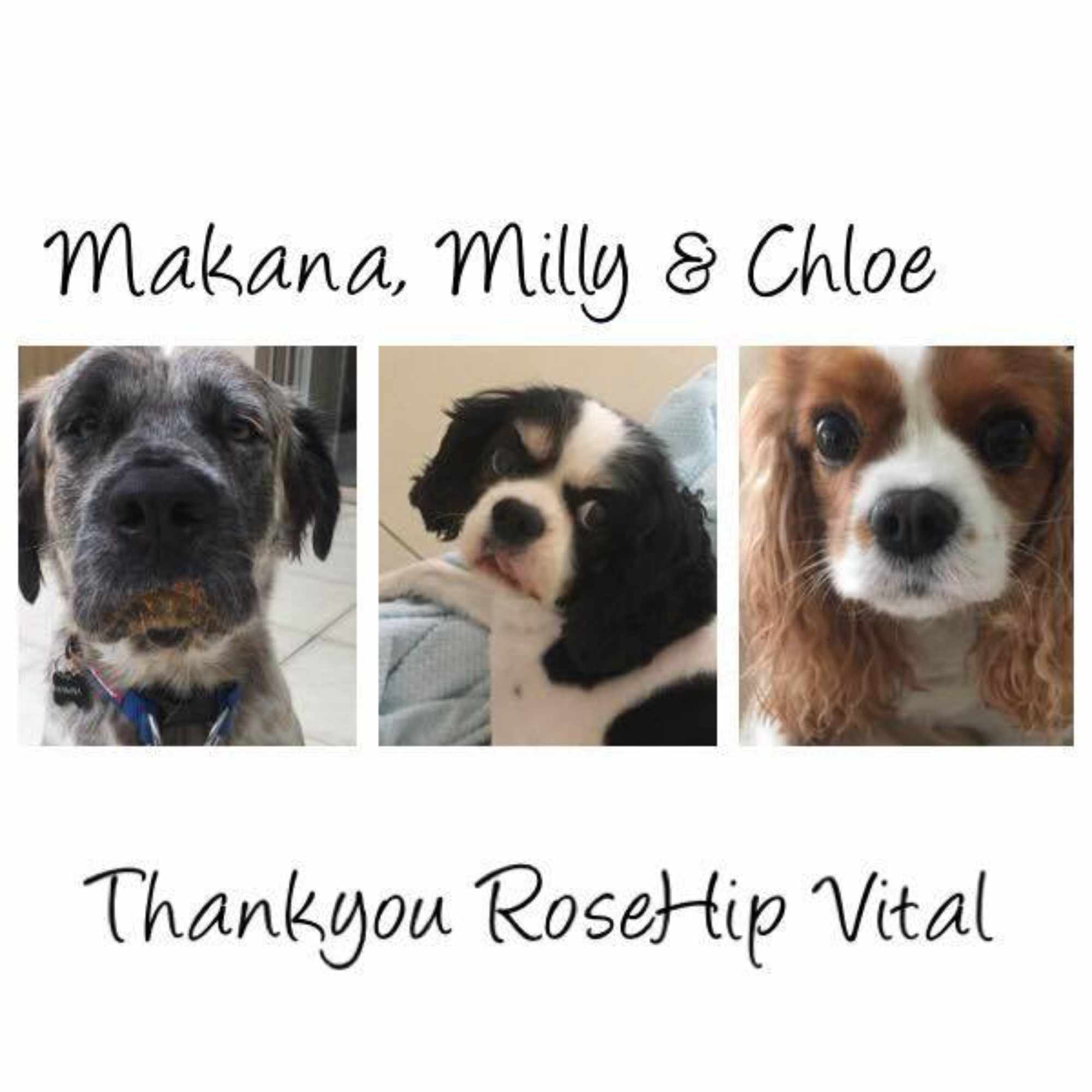 Milly, Chloe & Makana