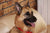 Mischa