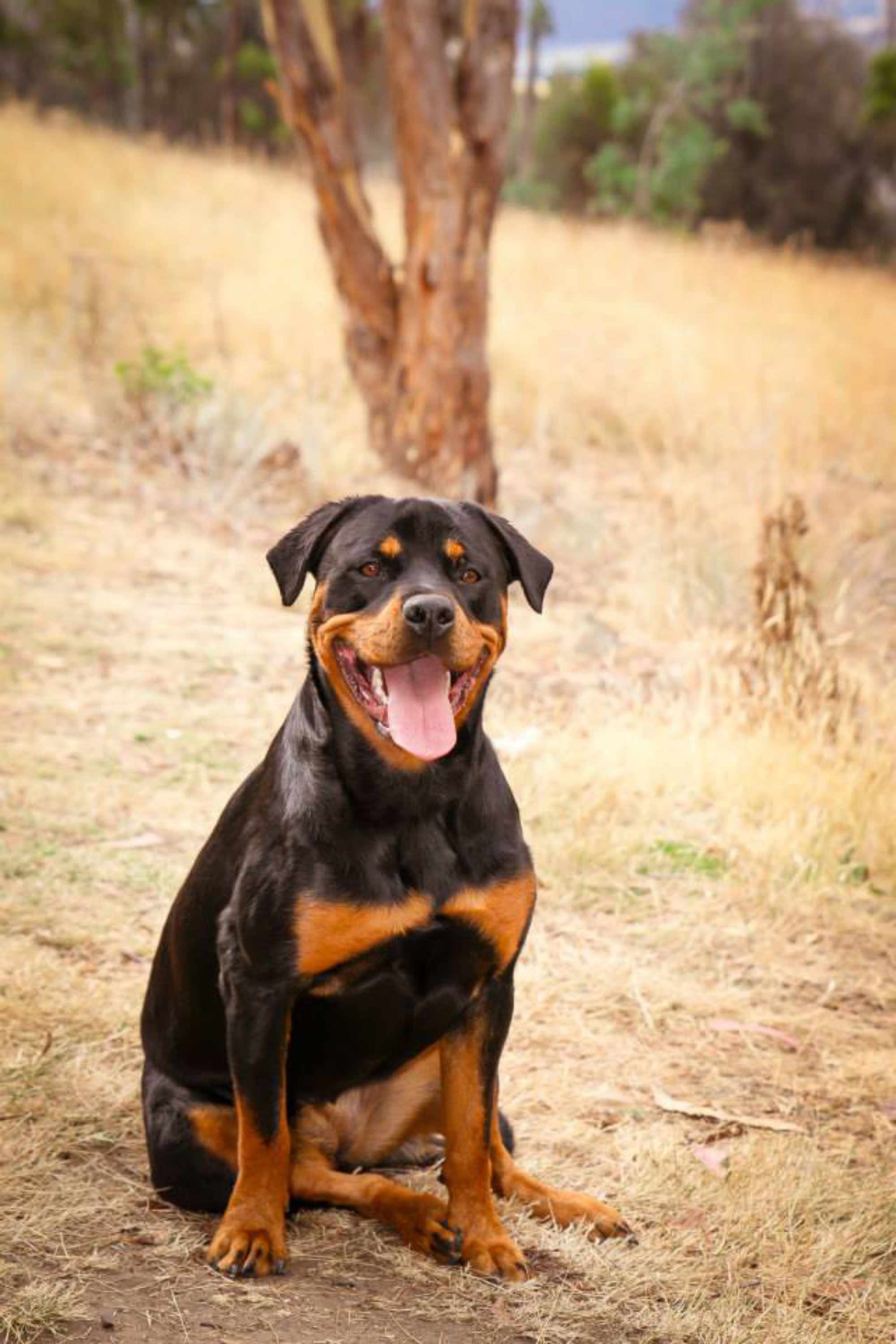 Kiara