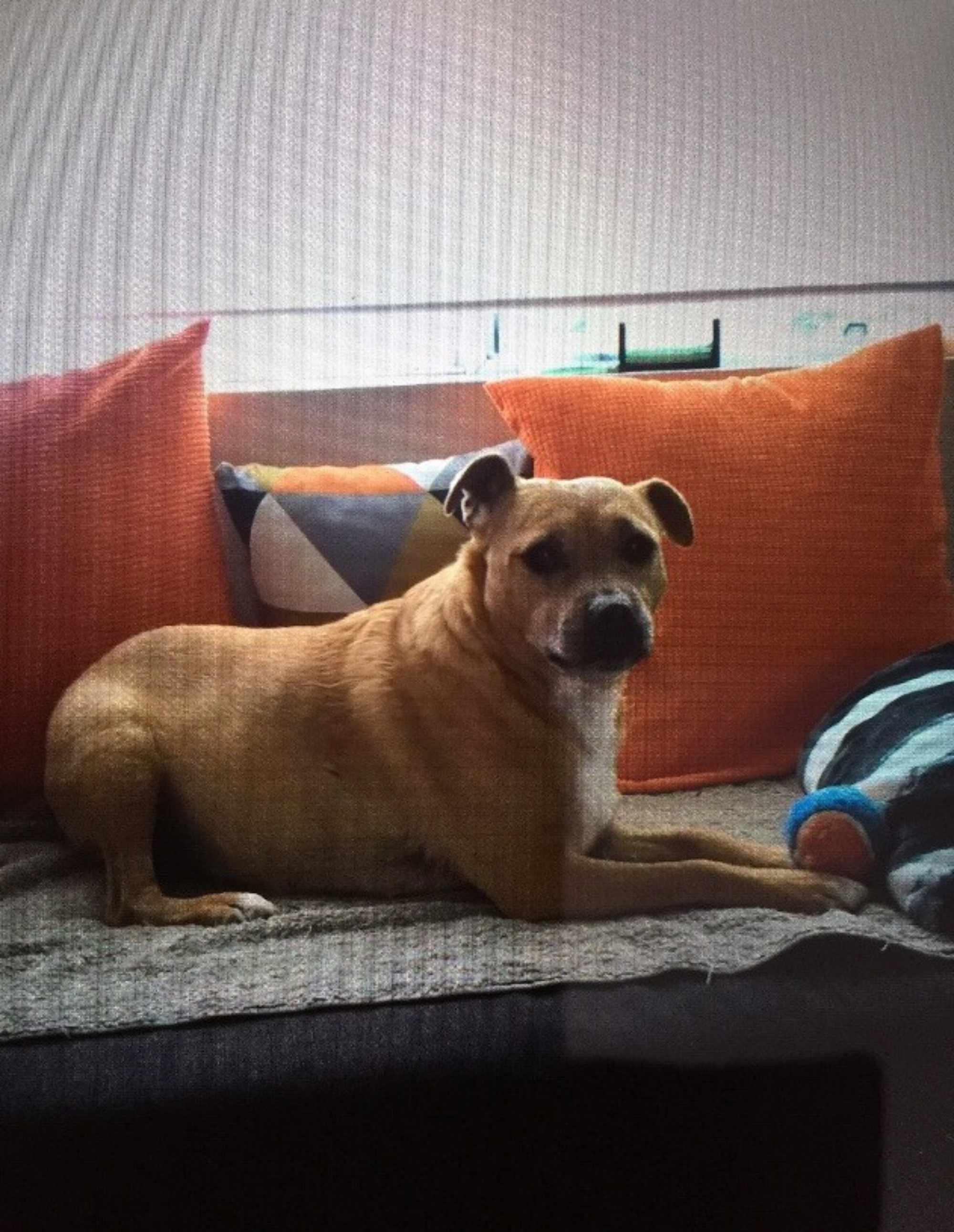 Missy