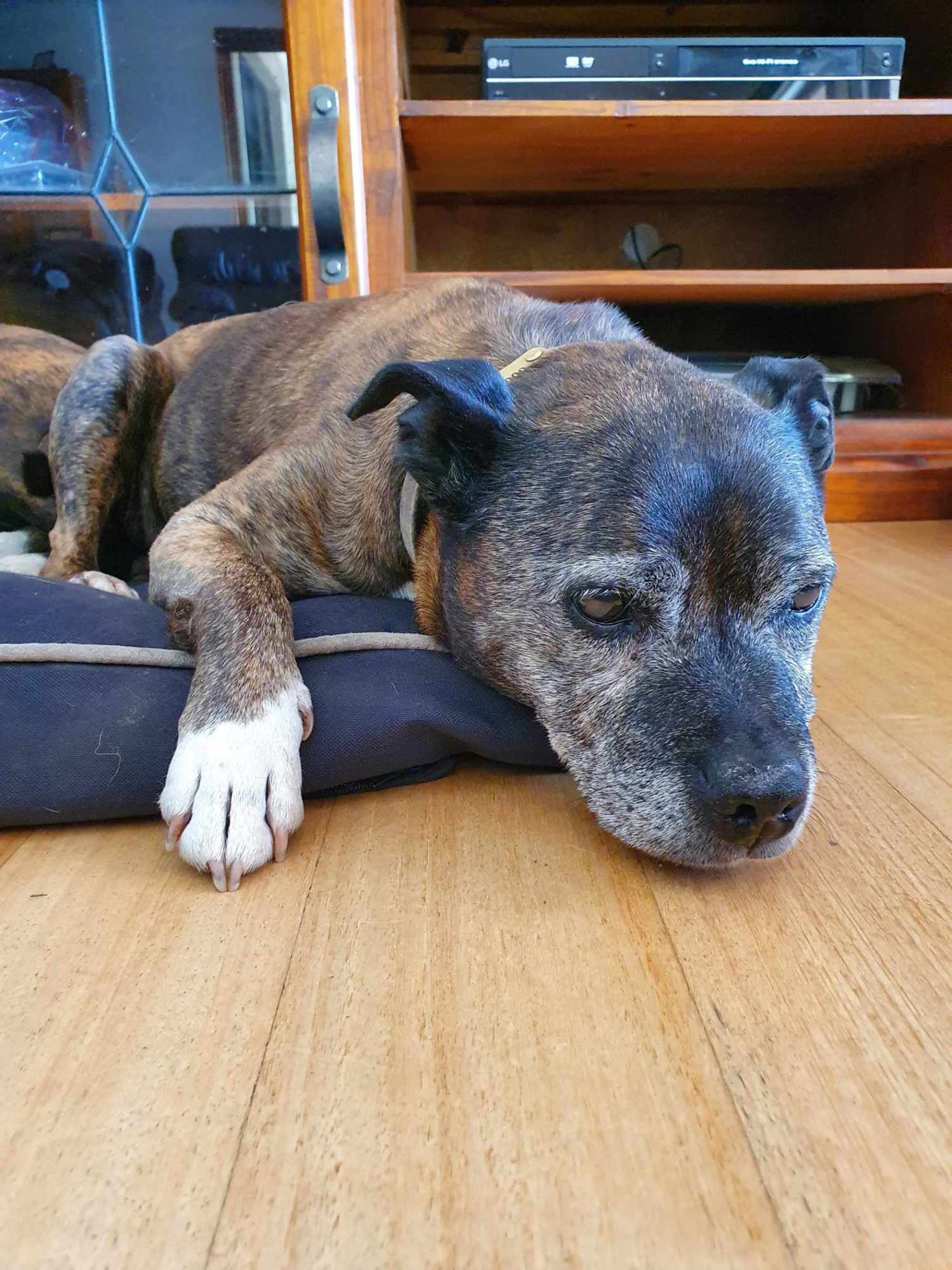 Lucy
