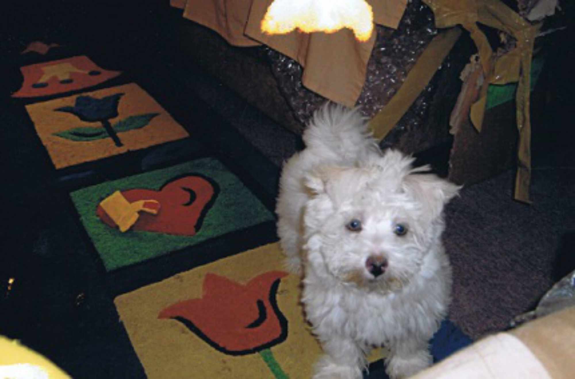 Hamish