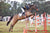 Matilda McCarroll Rose-Hip Vital Equine