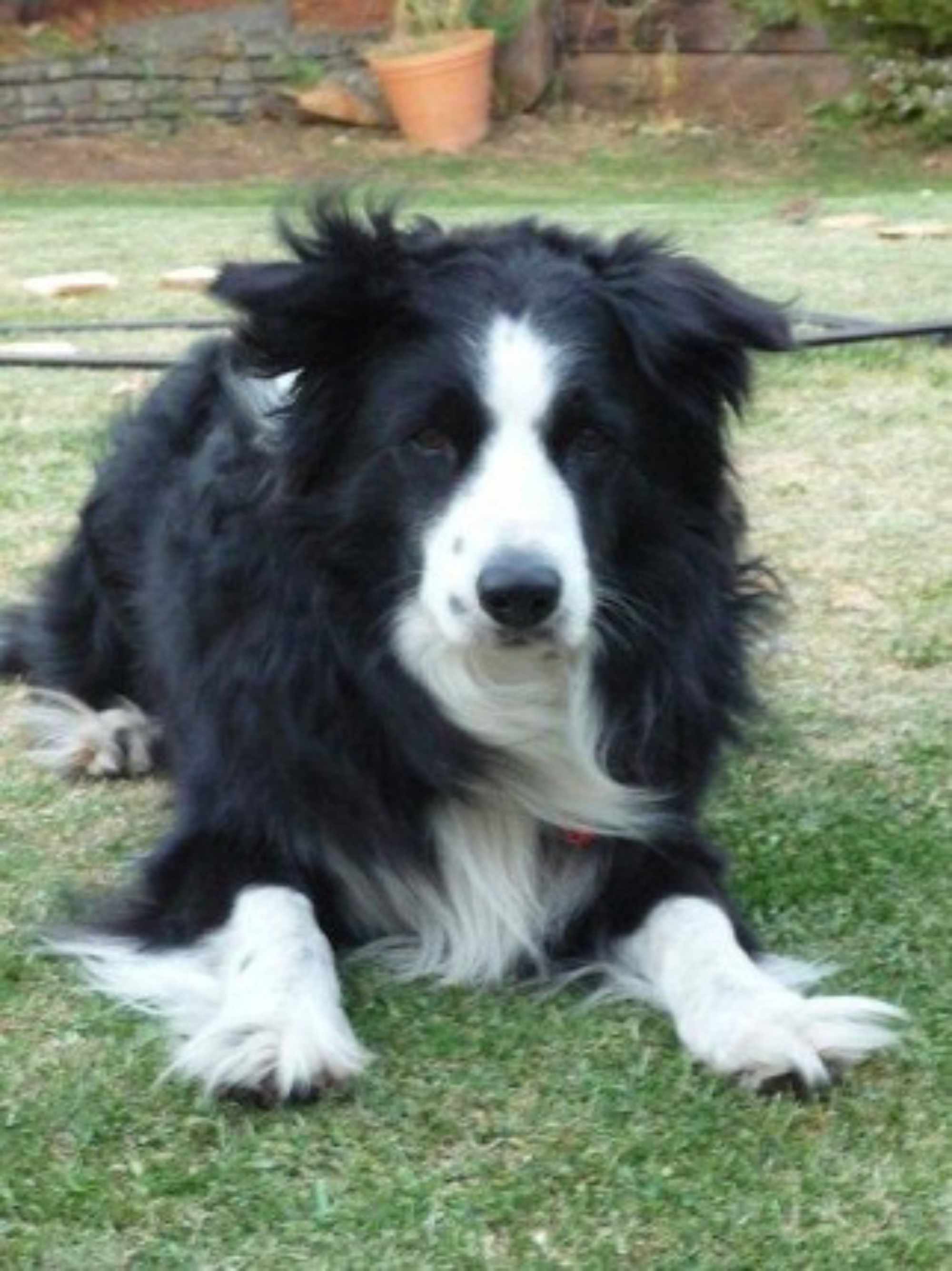 Monty