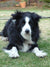 Monty
