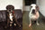 Barney & Ruby-Sue