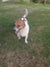 Wally