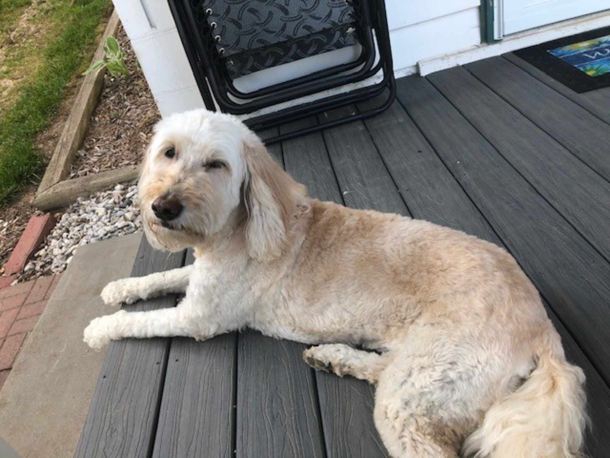Maggie