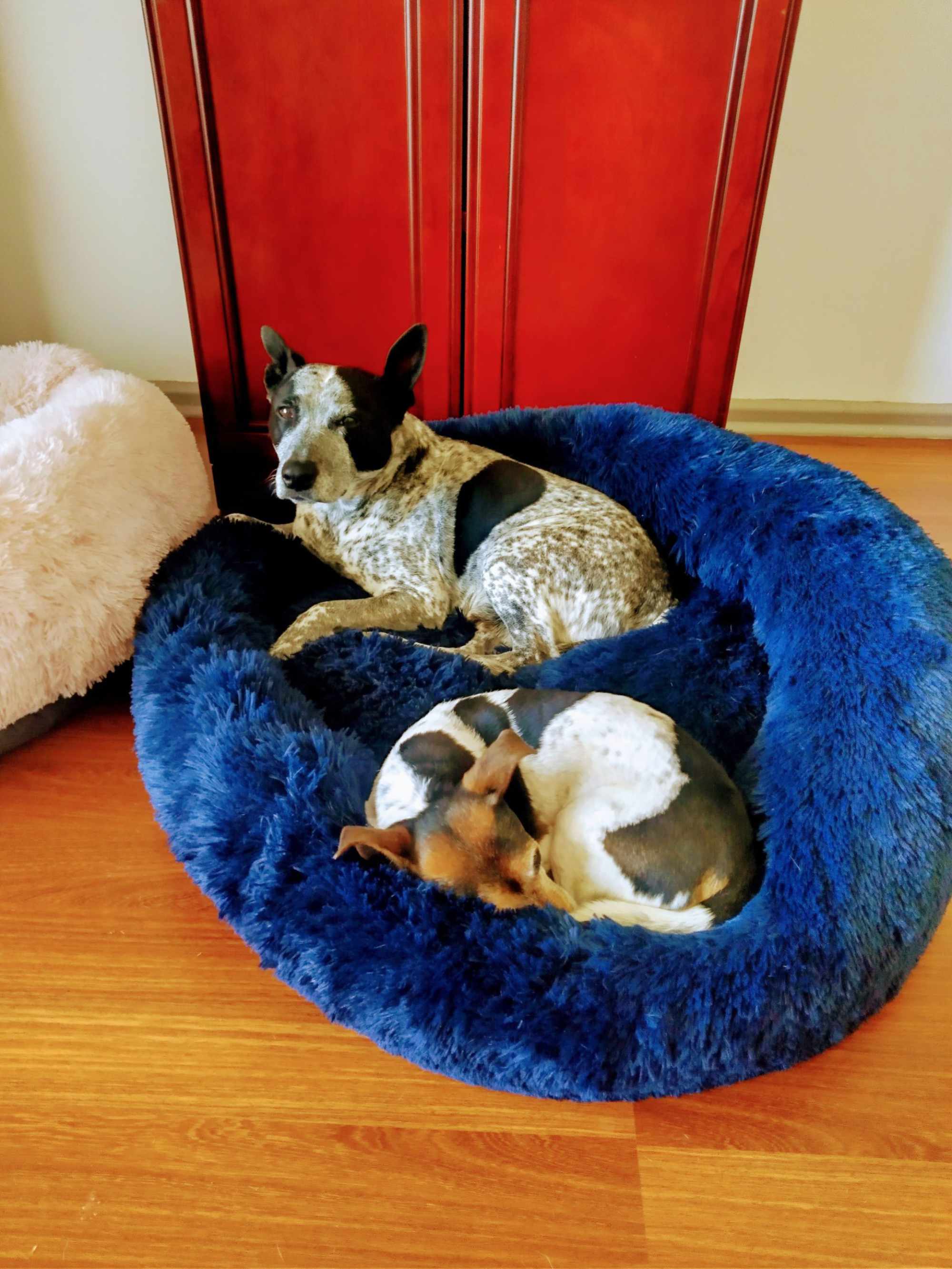 Diesel & Ron