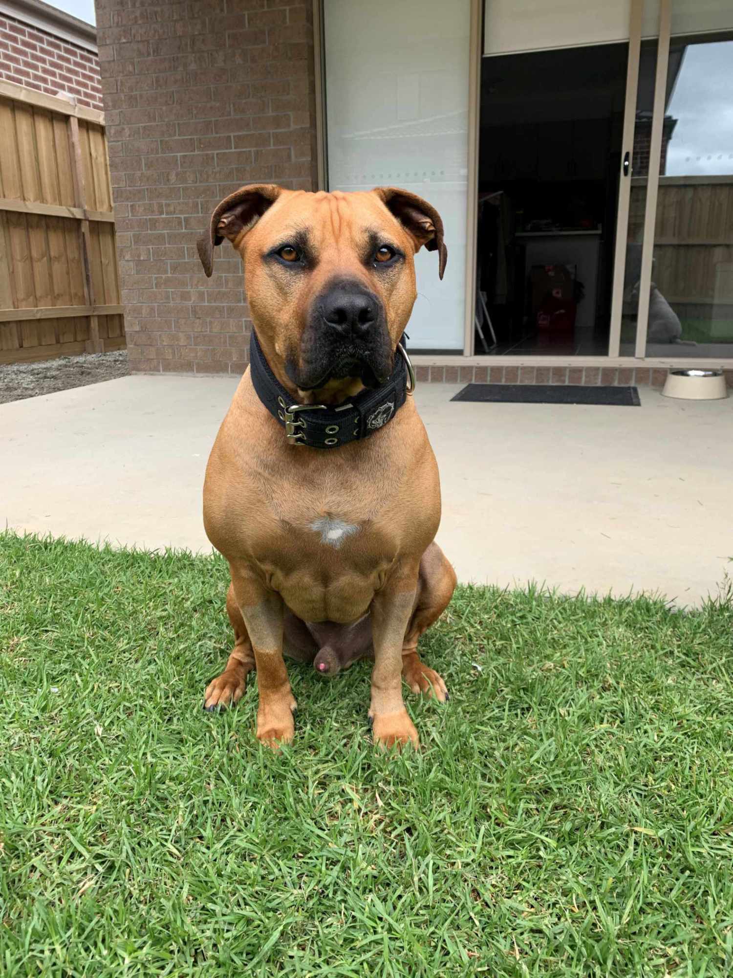 Tyson