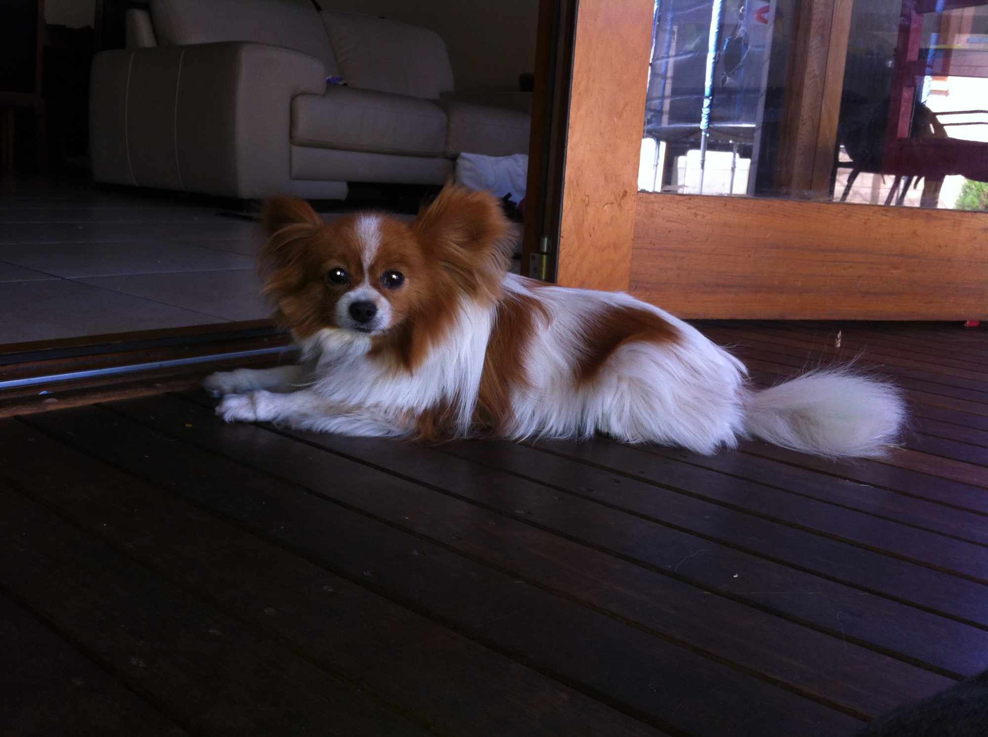 Monty
