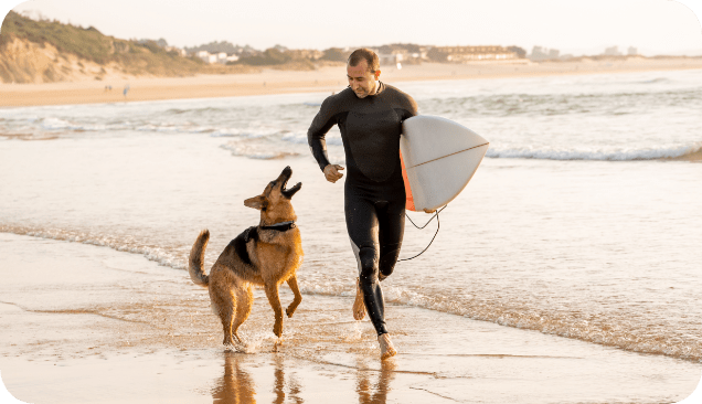 6 Reasons Why Your Dog Needs Rose-Hip Vital Canine