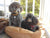 Mr Dudwee & Gemma