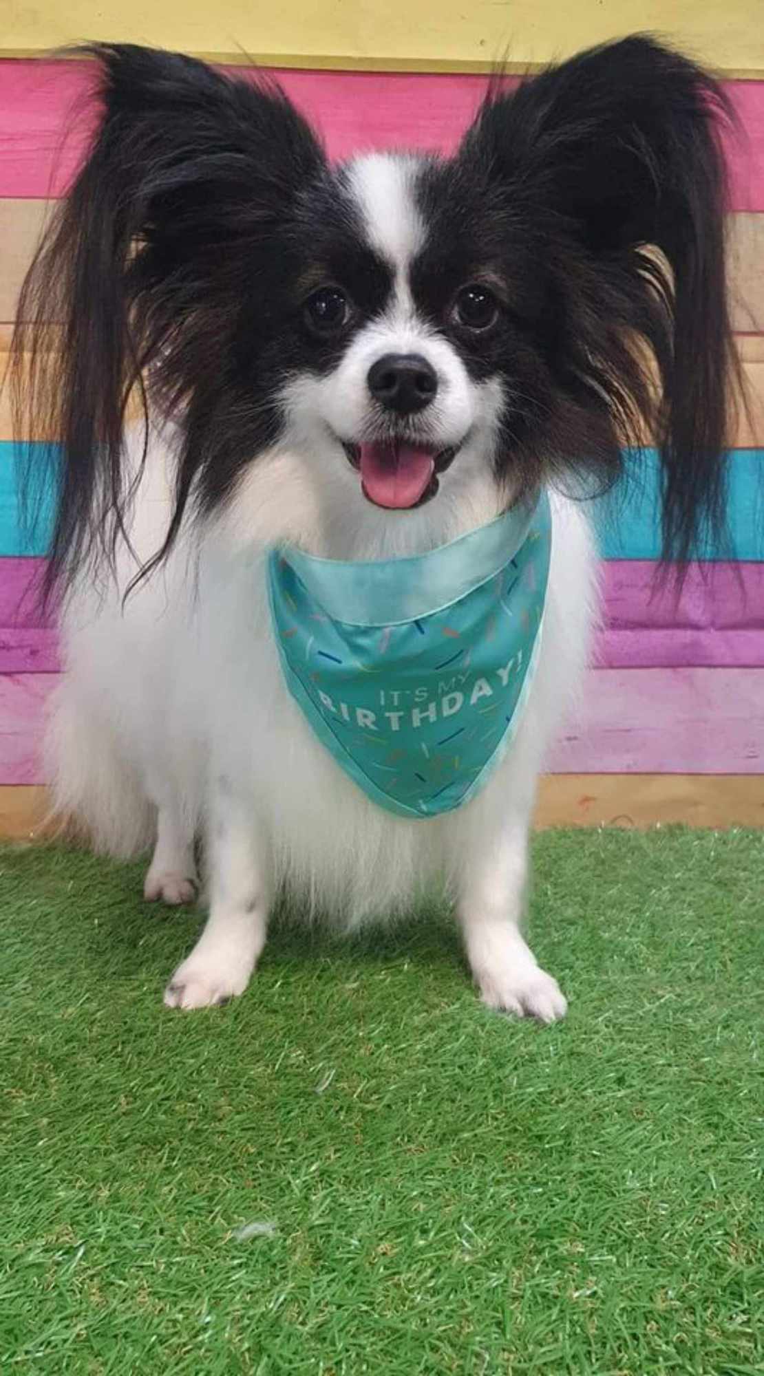 Bailey