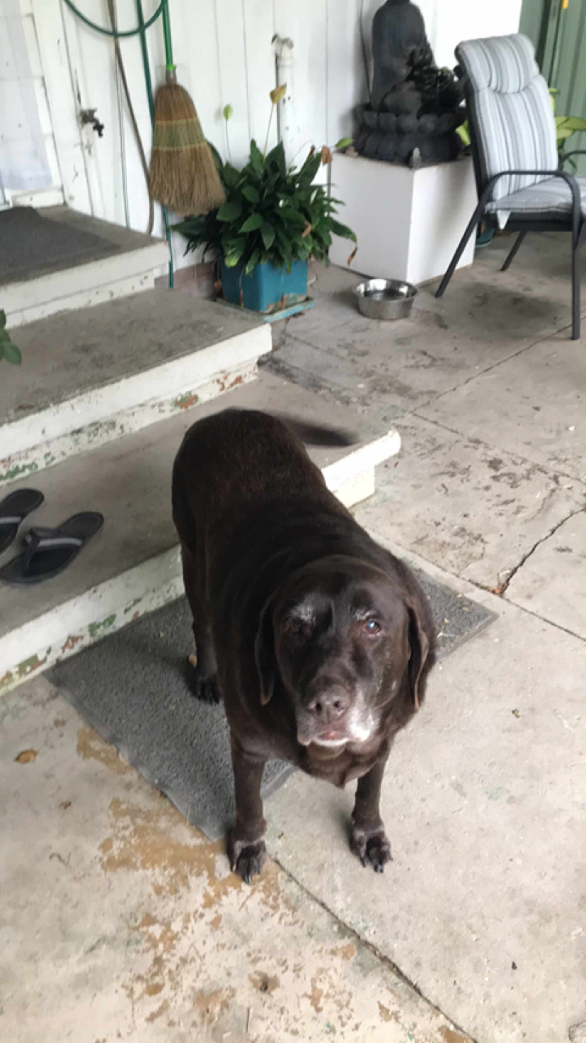 Benny