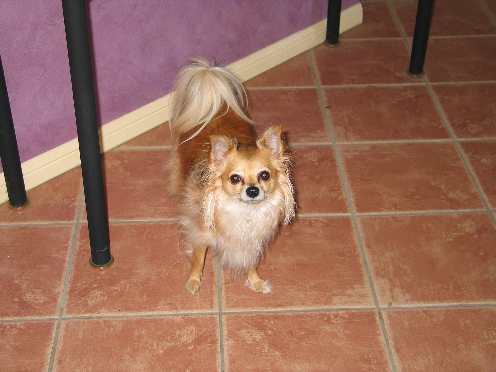Buffy