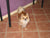 Buffy