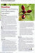 How Rosehips Are Natures Multitasking Anti Inflammatory Ingredient Australian Aesthetic Journal Summer 2010 11