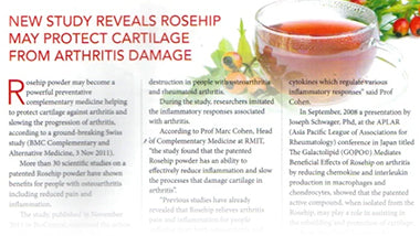 Rose Hip Vital Protects Your Body From Arthritis Damage Holistic Bliss February 2012