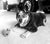Bundy on Rose-Hip Vital Canine