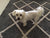 Chedda on Rose-Hip Vital Canine