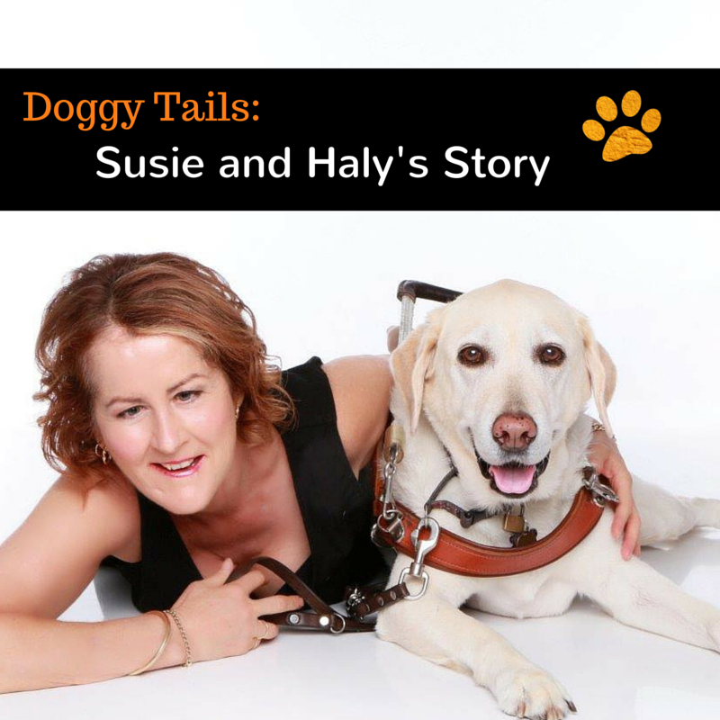 How Rose-Hip Vital Canine helped Haly’s arthritis