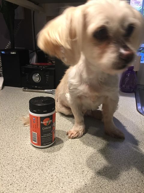 Honey on Rose-Hip Vital Canine