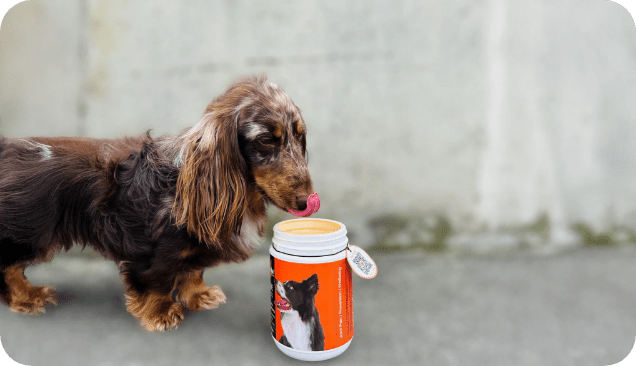 Is Rose-Hip Vital Canine Palatable?