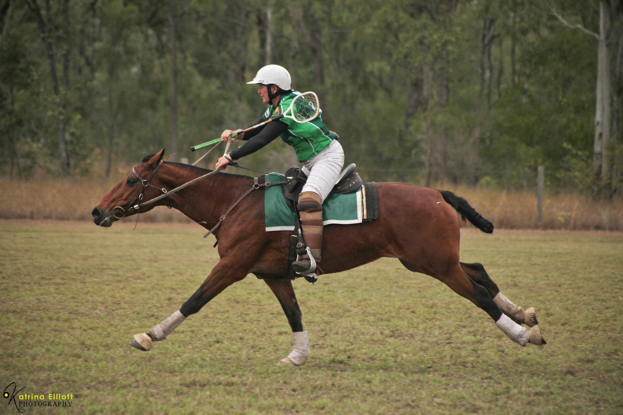 Kayleigh D Rose-Hip Vital Equine