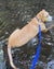 Max on Rose-Hip Vital Canine