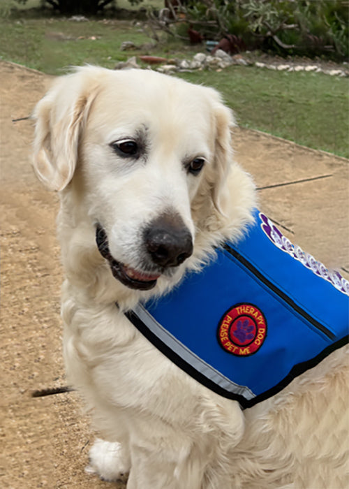 Kai on Rose-Hip Vital Canine