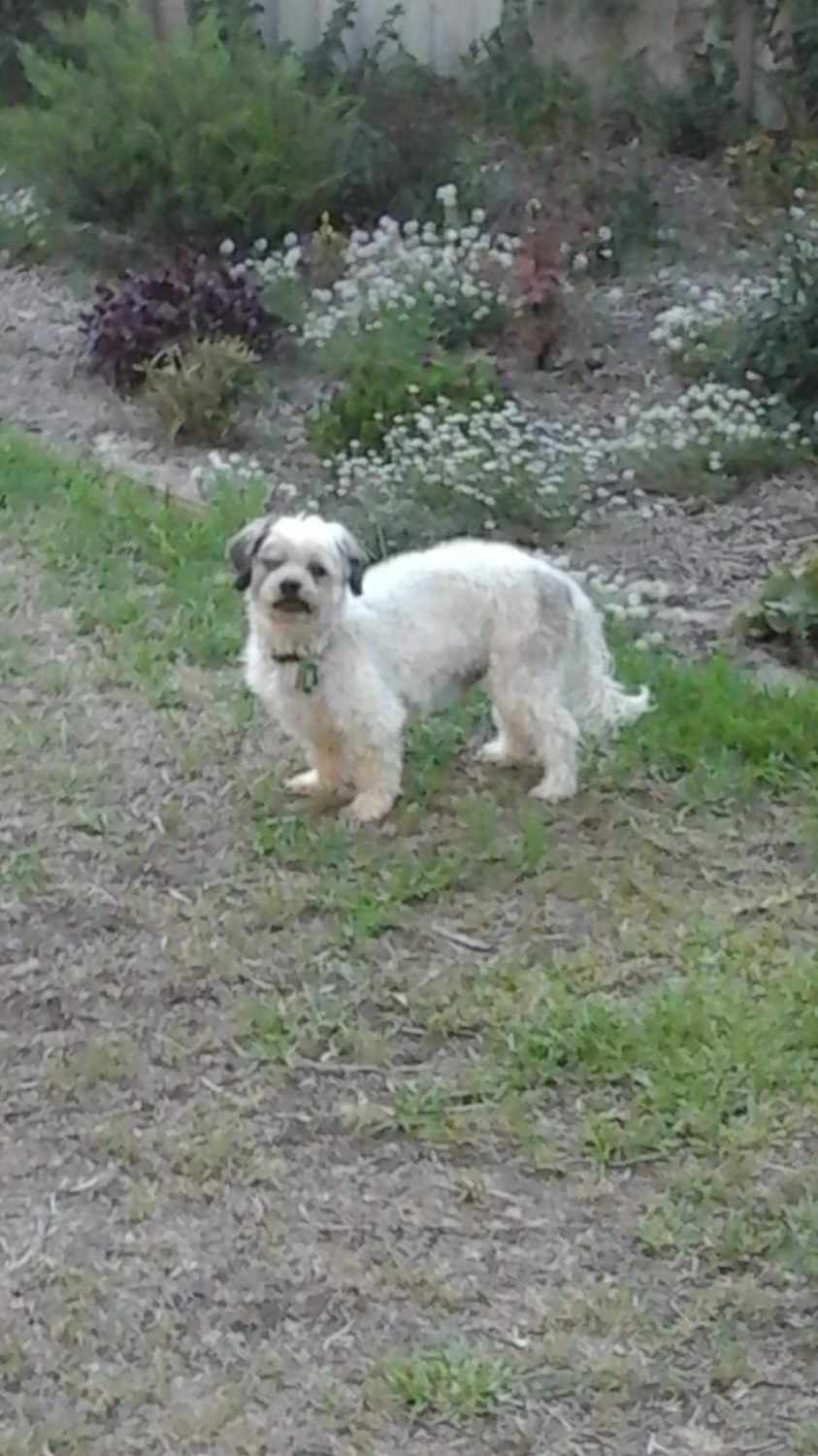 Nelson