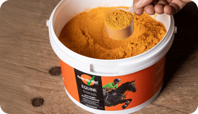 Rose-Hip Vital Equine Vs Rosehip Granules: What's the Real Difference?