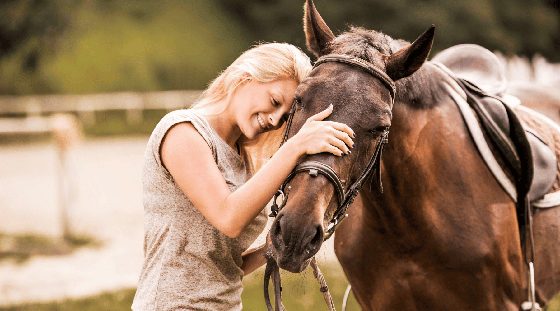 Healthy Joints, Happy Horse: A Valentine’s Day Gift Your Horse Will Love!