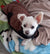 Sebastian on Rose-Hip Vital Canine