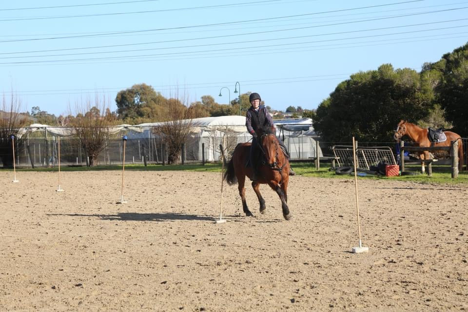 Toby on Rose-Hip Vital Equine