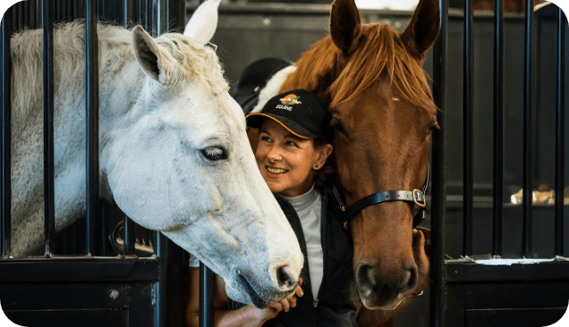 When Feeding More Rose-Hip Vital Equine Is a Good Idea