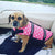Winnie on Rose-Hip Vital Canine