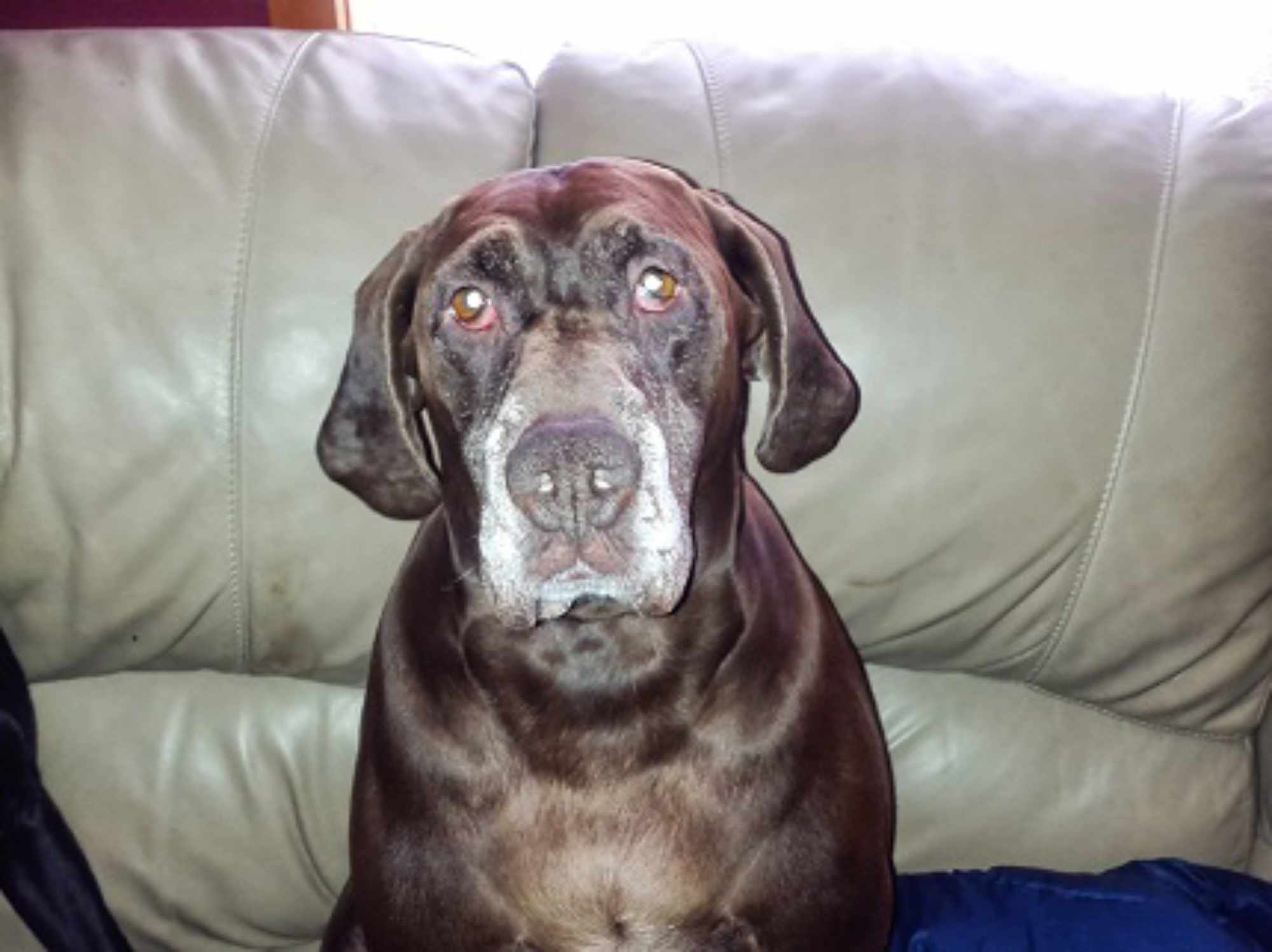 Coco