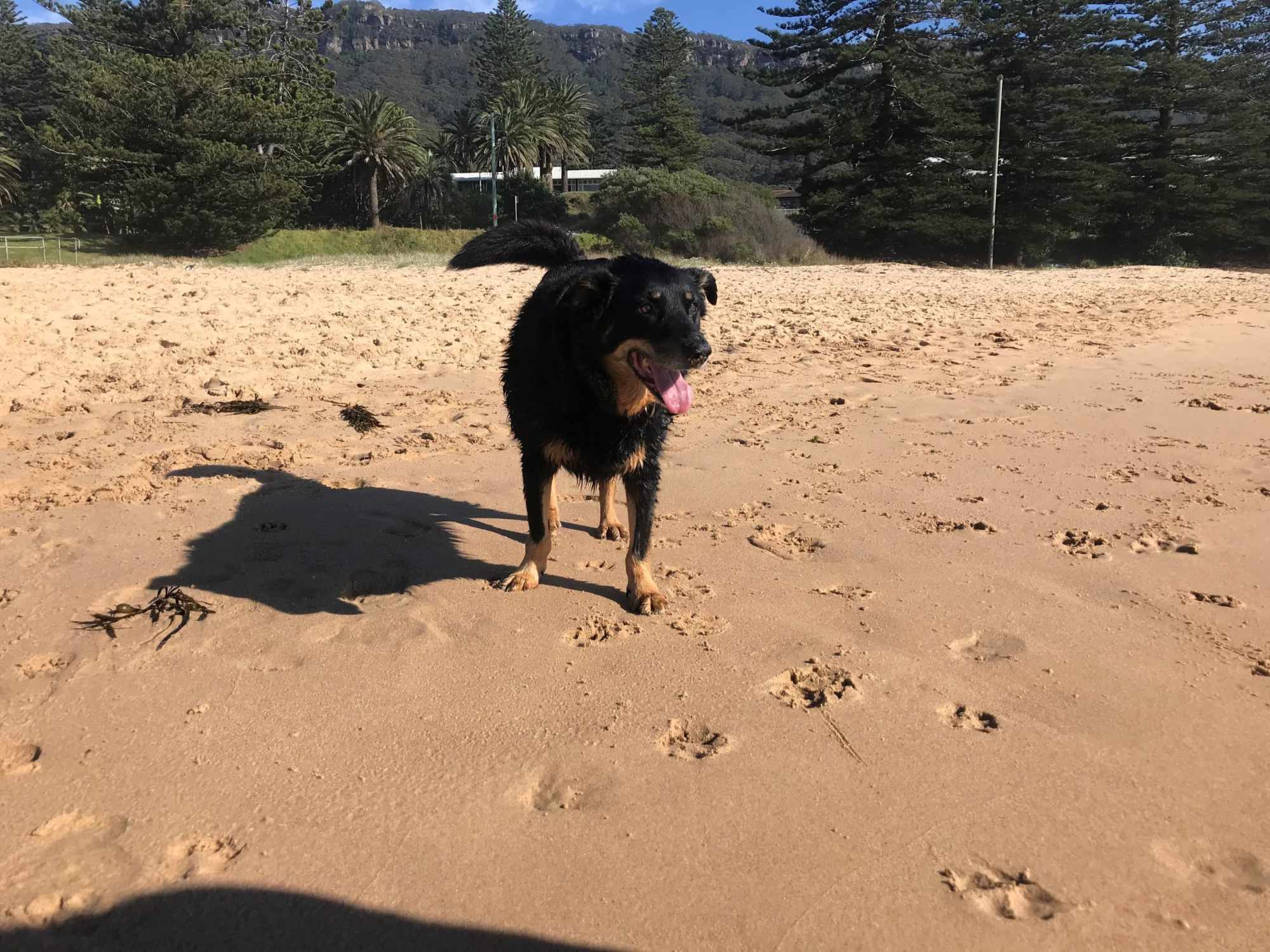 Charlie