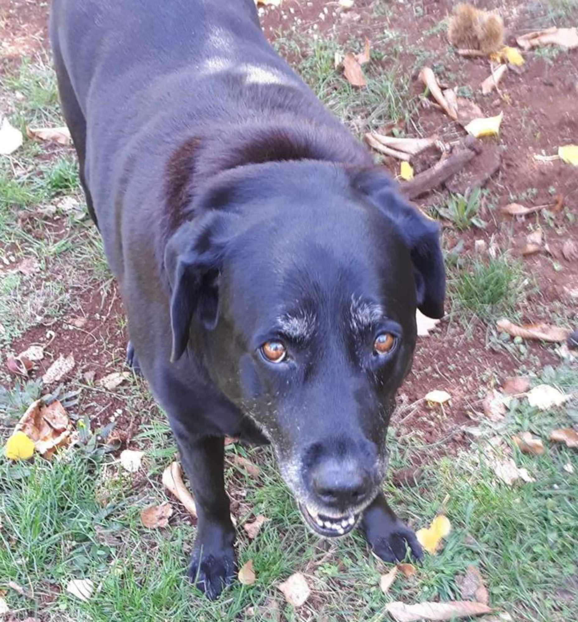 Sam