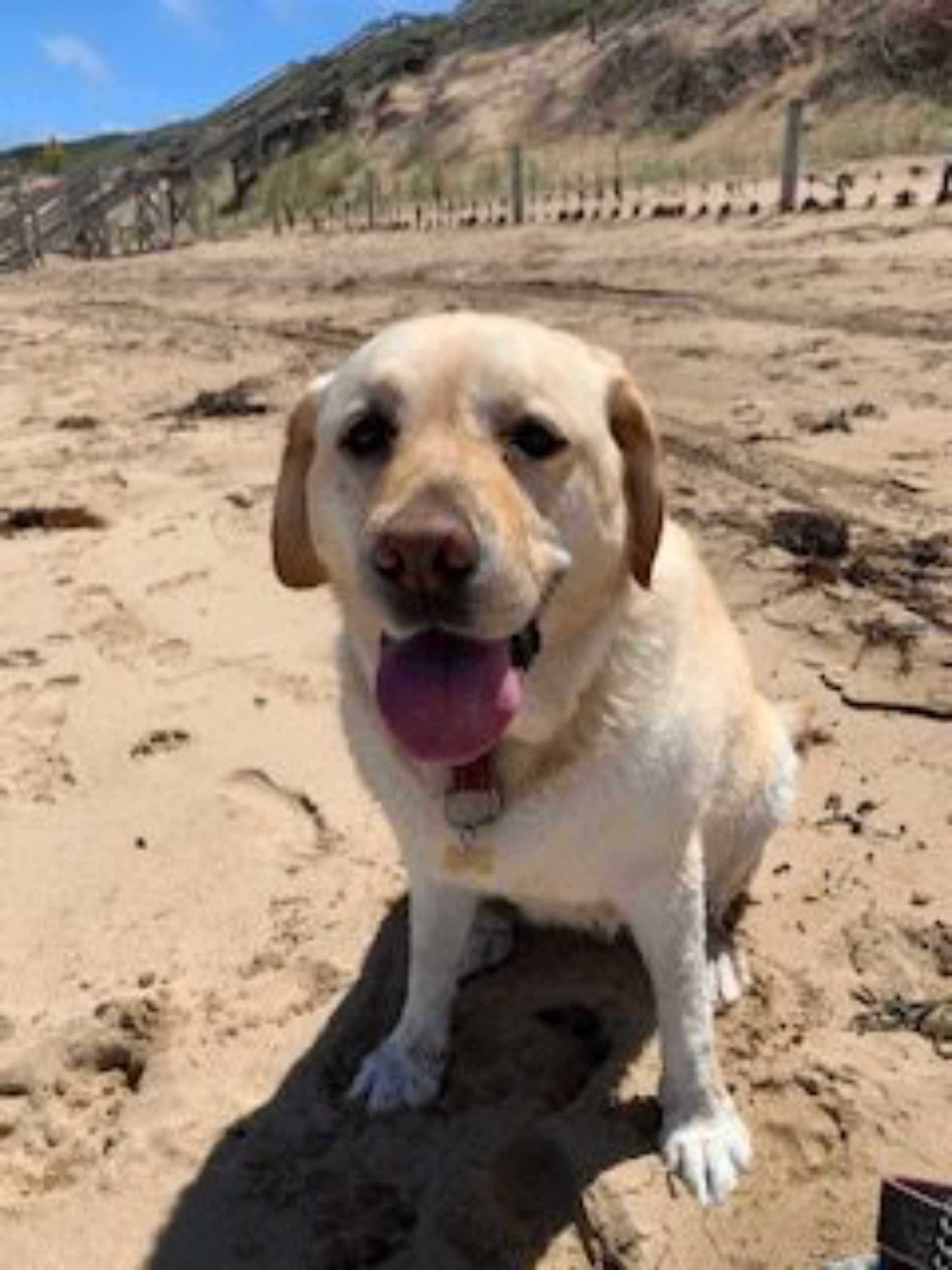 Bella