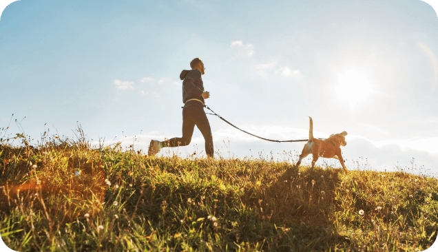 The Benefits of Rose-Hip Vital: A Natural Boost for Your Dog's Health