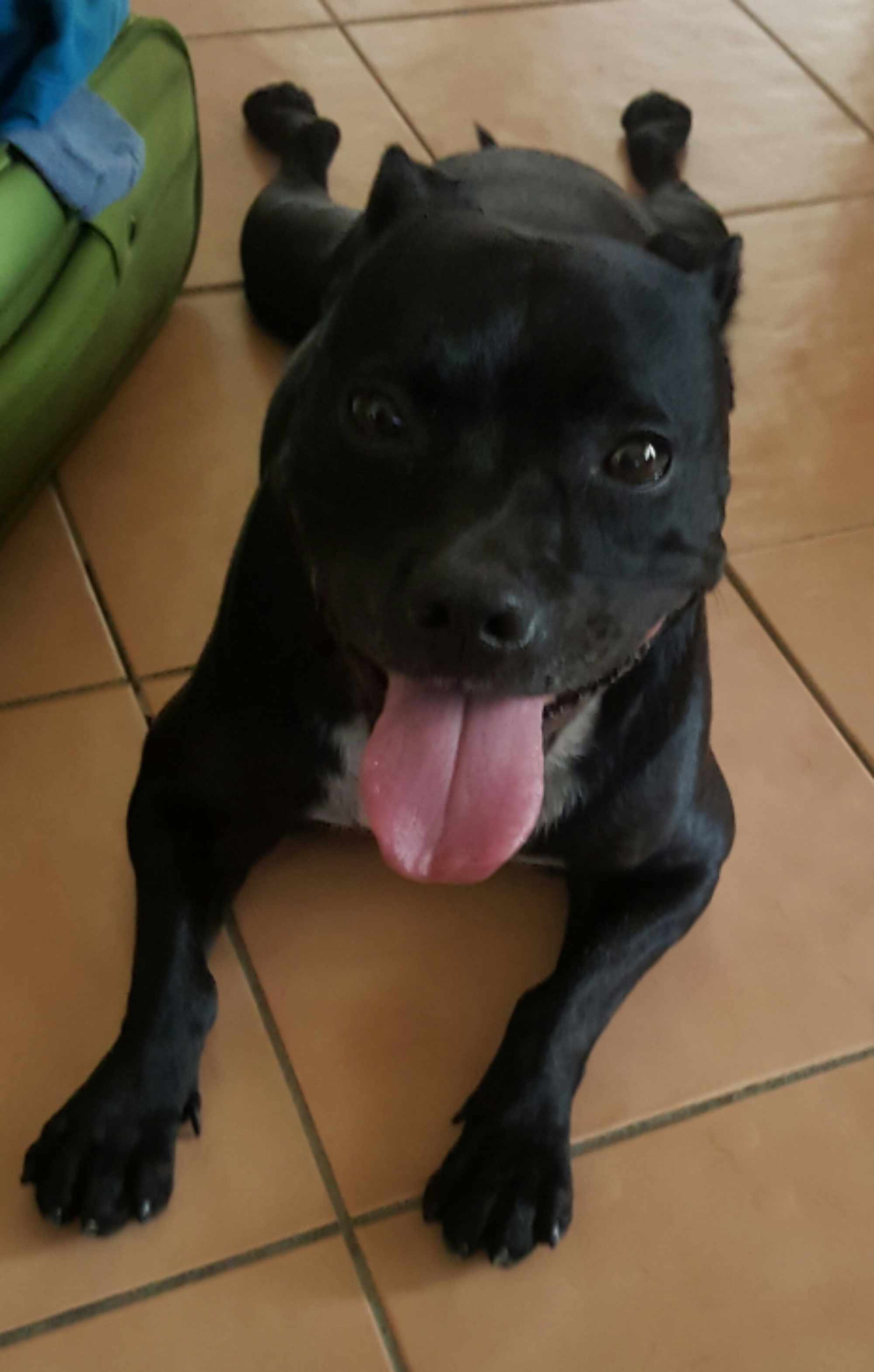 Missy