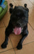 Missy