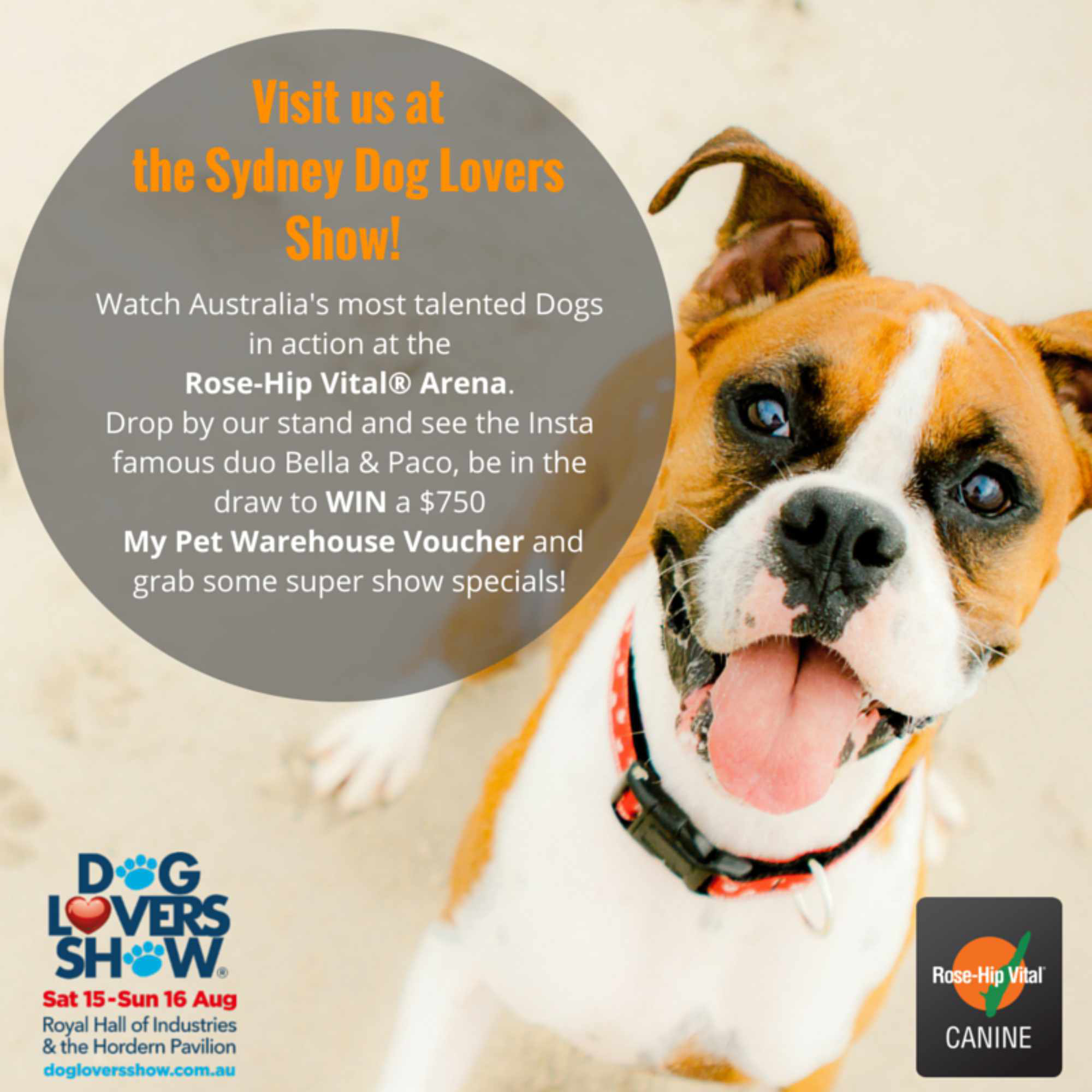 Love Dogs And Live In Sydney Visit Us This Weekend At The Dog Lovers Show