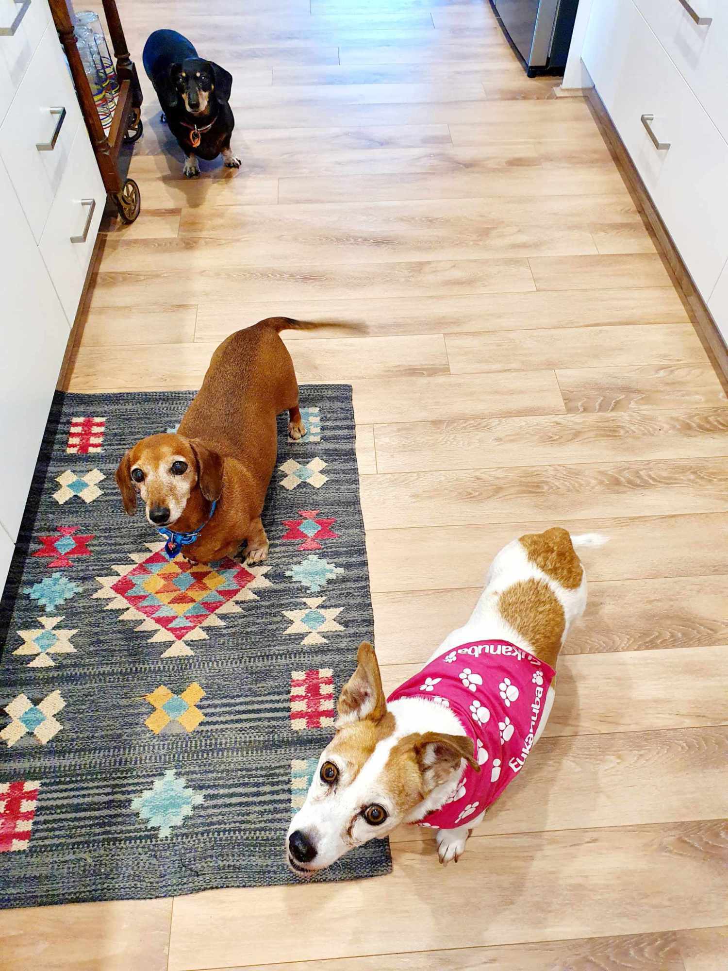 Juliette, Sasha & Annabelle