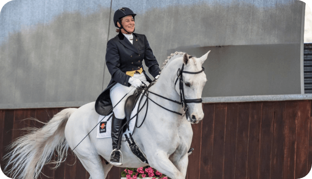 6 Reasons Why Your Horse Needs Rose-Hip Vital Equine